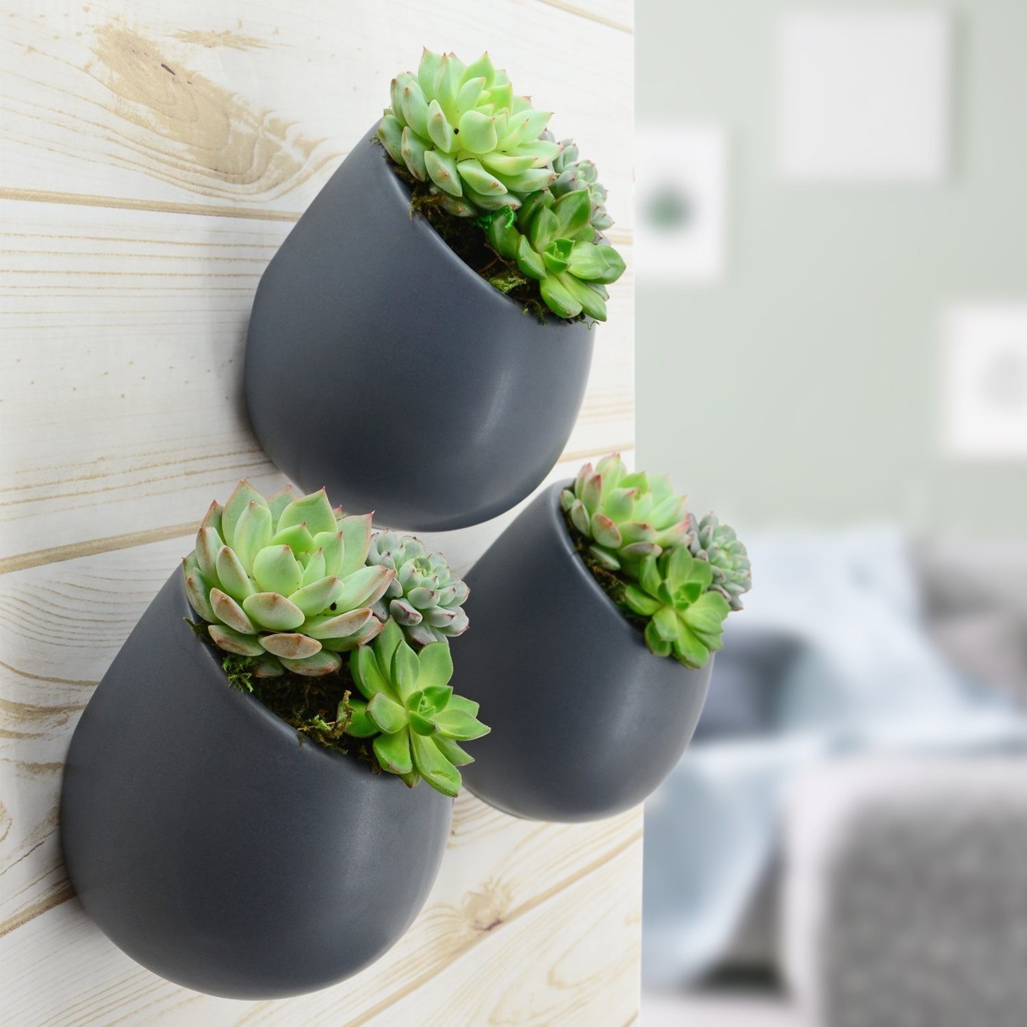 Round Wall Planter Matte Series Heinz Brothers Greenhouse Garden