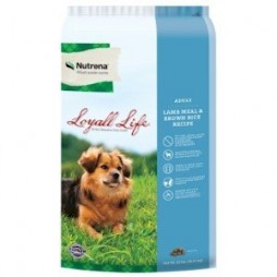nutrena river run dog food near me