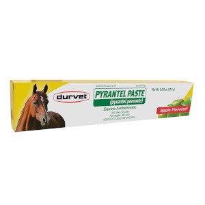 EquiStrength® (Pyrantel Pamote) Equine Anthelmintic Paste | Robbie's ...