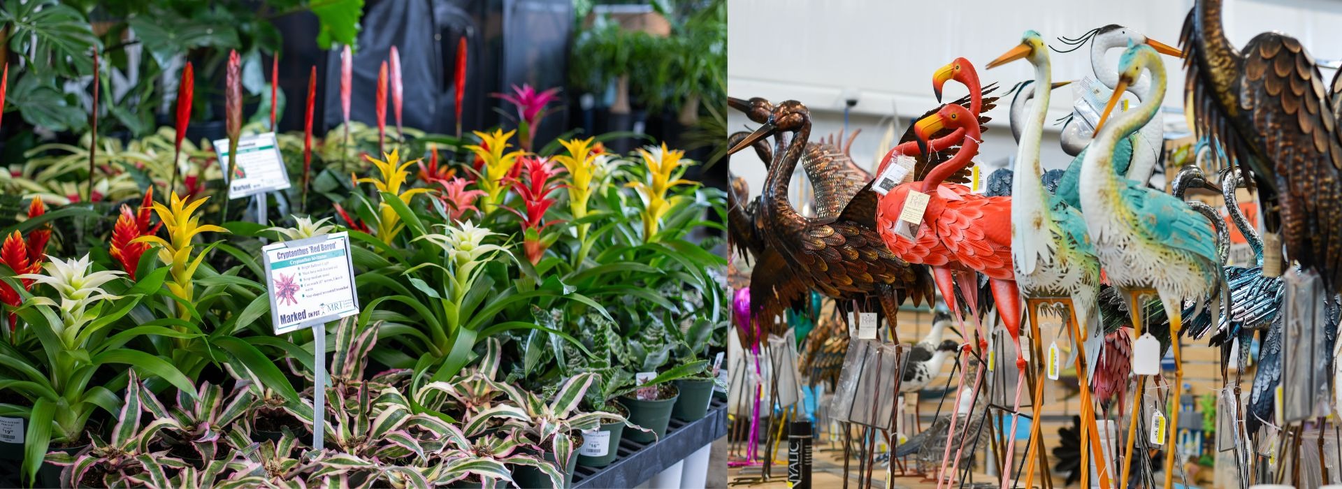 MRT Venice FL, MRT Landscaping FL, Garden Center Venice fl MRT Lawn