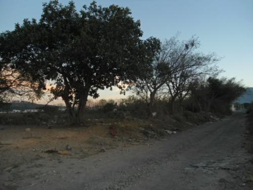 Terreno en venta en Villas de la Laguna, Tepic — foto 1 de 8