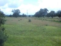 Terreno en venta en La Trasquila, Atlangatepec — foto 2 de 8