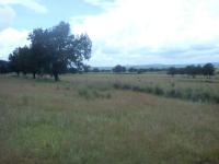 Terreno en venta en La Trasquila, Atlangatepec — foto 3 de 8