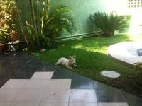 Casa en venta en Del Valle, Iguala de la Independencia — foto 2 de 12