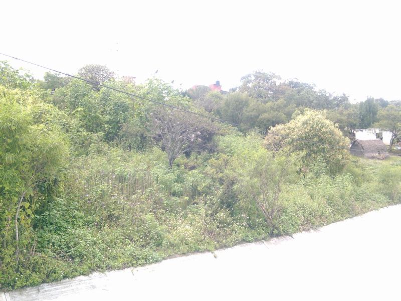 Terreno en venta en Texaluca, Tzicatlacoyan — foto 1 de 9