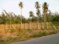Terreno en venta en La Calzada, Tuxpan — foto 2 de 7