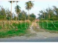 Terreno en venta en La Calzada, Tuxpan — foto 3 de 7