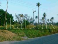 Terreno en venta en Barra Norte, Tuxpan — foto 2 de 6