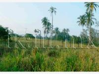 Terreno en venta en Barra Norte, Tuxpan — foto 2 de 10
