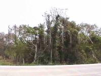 Terreno en venta en 23 de Noviembre, Tuxpan — foto 3 de 5