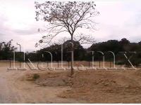 Terreno en venta en Jazmin, Tuxpan — foto 3 de 6