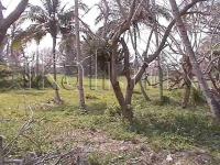 Terreno en venta en Barra Norte, Tuxpan — foto 3 de 9