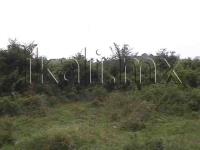 Terreno en venta en Juan Lucas, Tuxpan — foto 2 de 6