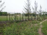 Terreno en venta en 23 de Noviembre, Tuxpan — foto 2 de 9