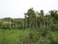 Terreno en venta en 23 de Noviembre, Tuxpan — foto 3 de 9