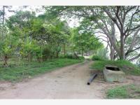 Terreno en venta en Cobos, Tuxpan — foto 2 de 9