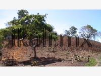 Terreno en venta en Adolfo Lopez Mateos, Tuxpan — foto 3 de 12
