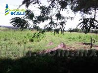 Terreno en venta en Ojite, Tuxpan — foto 2 de 14