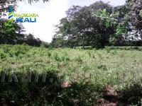 Terreno en venta en Ojite, Tuxpan — foto 3 de 14
