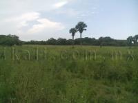 Terreno en venta en La Calzada, Tuxpan — foto 3 de 12