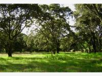 Finca-Rancho en venta en Canalejas, Jilotepec — foto 2 de 8