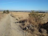 Terreno en venta en El Rodeo, Ixtlahuacán de los Membrillos — foto 3 de 13