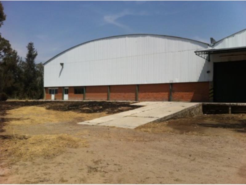 Bodega en renta en Primera, Teolocholco — foto 1 de 5