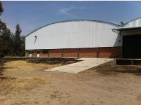 Bodega en renta en Primera, Teolocholco, Tlaxcala