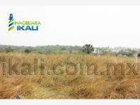 Terreno en venta en De los Artistas, Tuxpan — foto 2 de 9