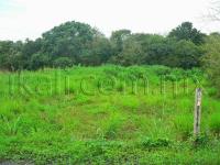 Terreno en venta en INFONAVIT Las Granjas, Tuxpan — foto 3 de 7