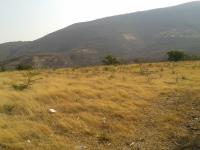Terreno en venta en Higuerón, Jojutla — foto 2 de 14