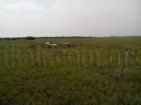 Terreno en venta en La Calzada, Tuxpan — foto 2 de 6