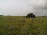 Terreno en venta en La Calzada, Tuxpan — foto 3 de 6
