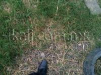 Terreno en venta en Obrera, Tuxpan — foto 2 de 11