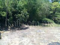 Terreno en venta en Joaquin Hernandez Galicia, Tuxpan — foto 2 de 13