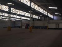 Bodega en renta en Tehuacán Centro, Tehuacán — foto 3 de 6