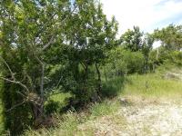 Terreno en venta en Alto Lucero, Tuxpan — foto 2 de 8