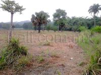 Terreno en venta en El Palmar, Papantla — foto 3 de 7