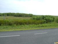 Terreno en venta en El Longoreño, Matamoros — foto 2 de 2
