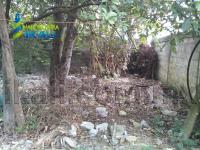Terreno en venta en Adolfo Ruiz Cortines, Tuxpan — foto 3 de 6