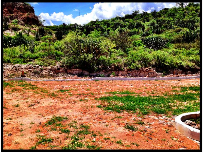 Terreno en venta en Residencial Hacienda Yextho, Tecozautla