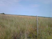 Terreno en venta en La Mata, Tuxpan — foto 3 de 16