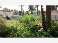 Terreno en renta en La Calzada, Tuxpan — foto 2 de 13