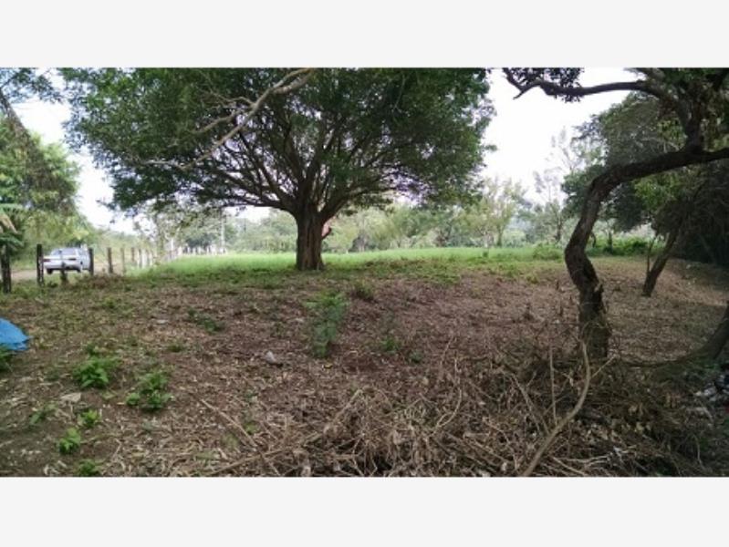 Terreno en venta en El Guasimal, Medellín de Bravo — foto 1 de 9