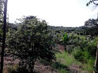 Terreno en venta en Tronconal de Herrera Beltrán, Tuxpan — foto 2 de 9