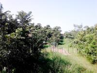 Terreno en venta en Tronconal de Herrera Beltrán, Tuxpan — foto 3 de 9