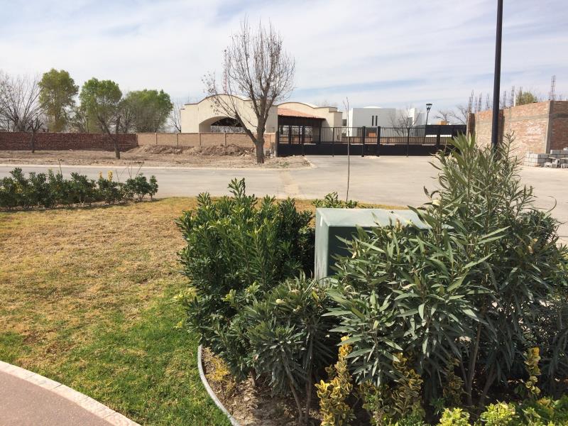 Terreno en venta en Las Trojes, Torreón — foto 1 de 6
