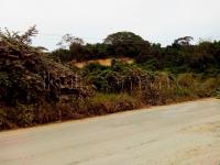 Terreno en venta en Ampliación Los Mangos, Tuxpan — foto 2 de 7
