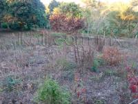 Terreno en venta en Cruz Naranjos, Tuxpan — foto 2 de 12