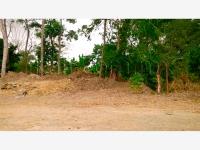 Terreno en venta en La Victoria Kilómetro 47, Papantla — foto 2 de 6